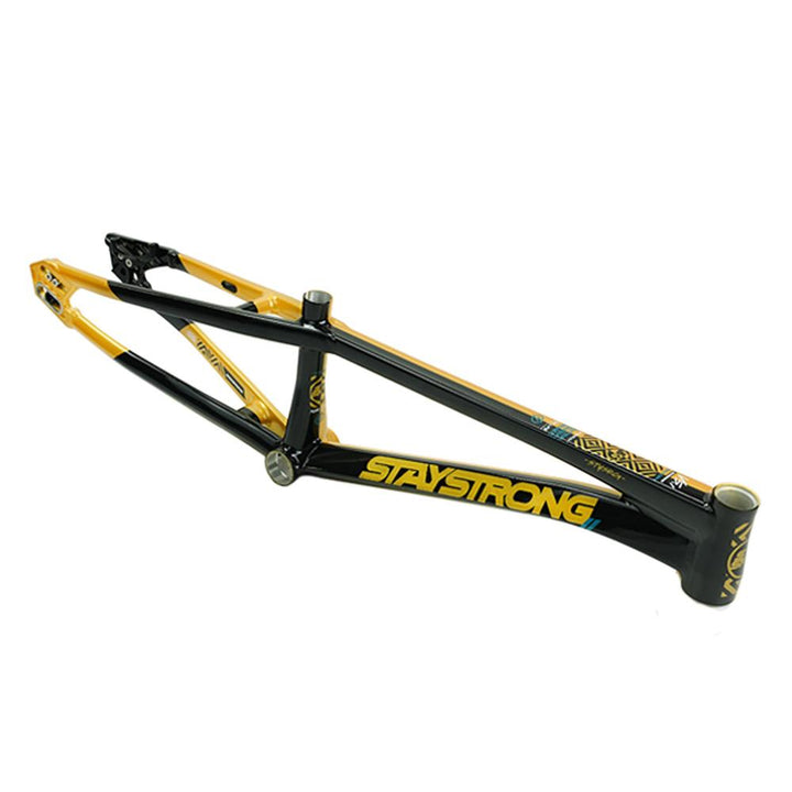 Stay Strong For Life V5.1 Cruiser Expert XL Frame