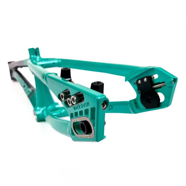 Stay Strong For Life 2024 V5 Mini Race Frame - Disc Version