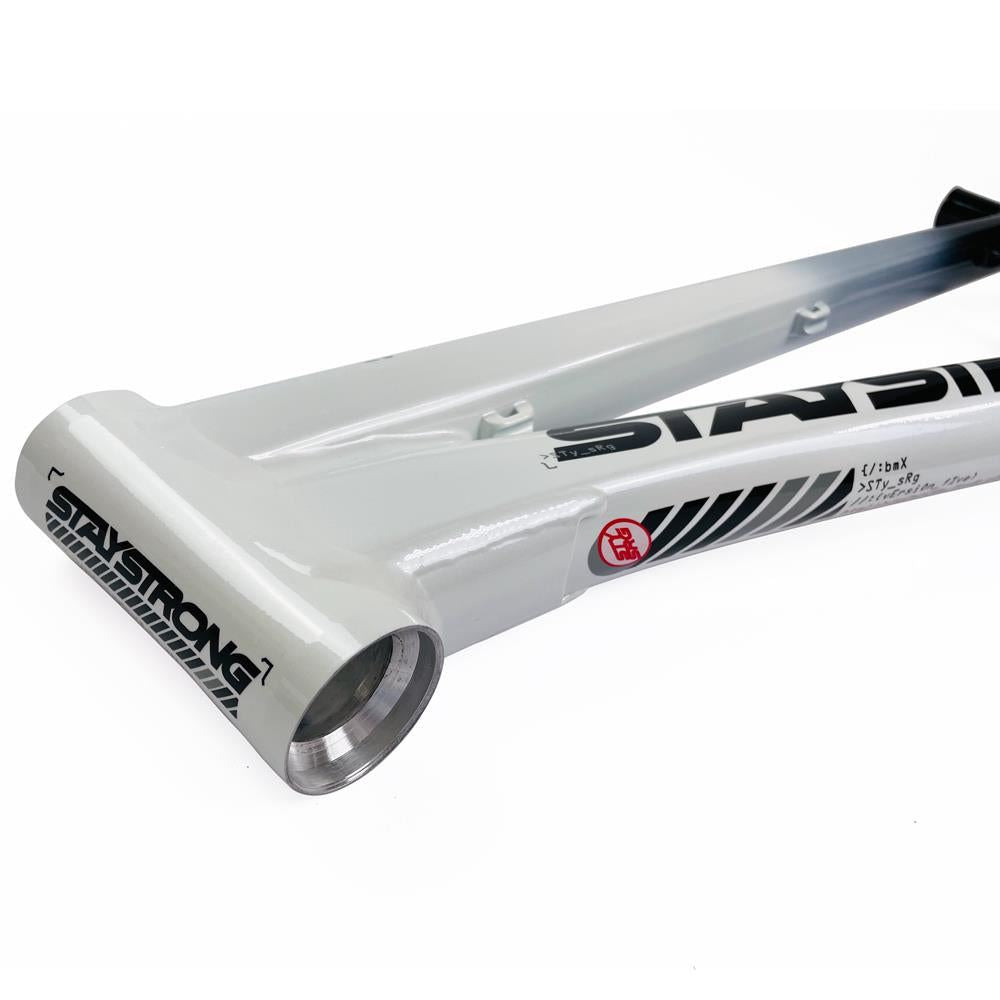 Stay Strong For Life 2024 V5 Cruiser Expert XL Cadre de Course  - Frein Version