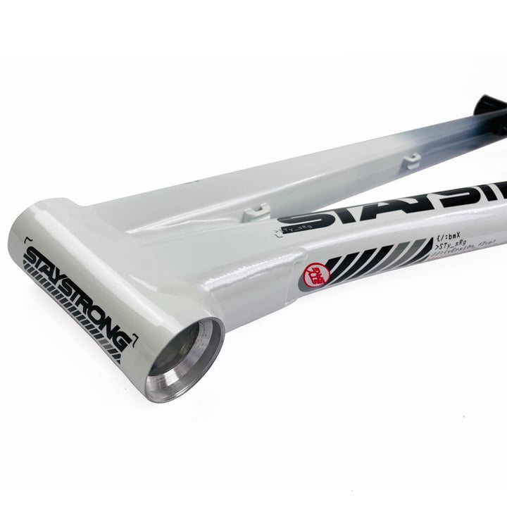 Stay Strong For Life 2024 V5 Cruiser Expert XL Cadre de Course  - Frein Version