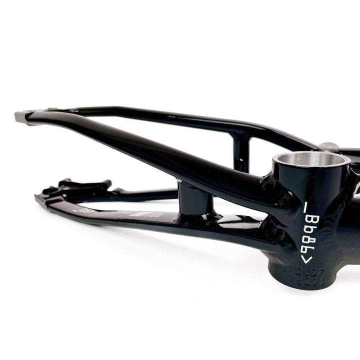 Stay Strong For Life 2024 V5 Mini Race Frame - Disc Version