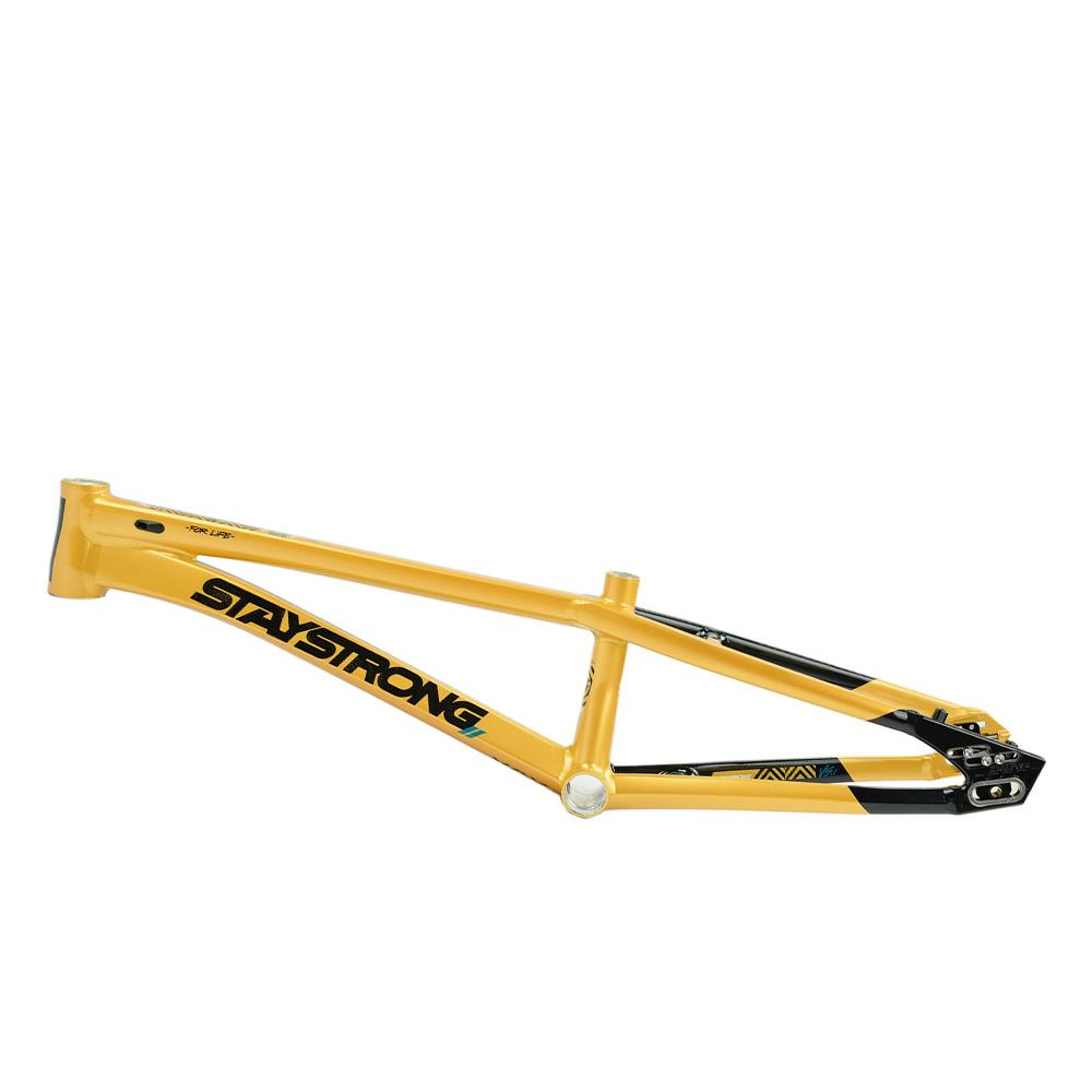 Stay Strong For Life V5.1 Pro XXXXL Frame