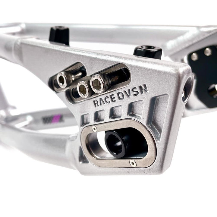 Stay Strong For Life 2024 V5 Mini Race Frame - Disc Version