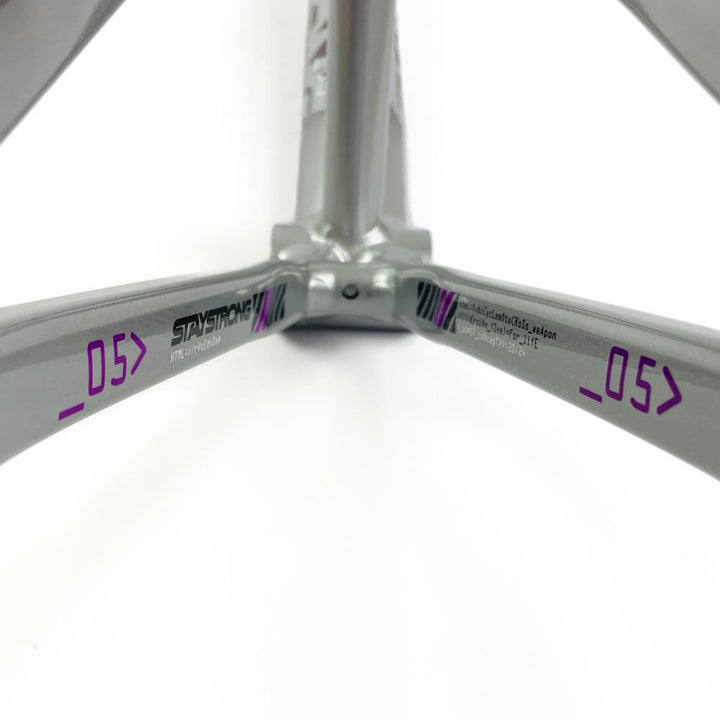 Stay Strong For Life 2024 V5 Cruiser Expert XL Cadre de Course  - Frein Version