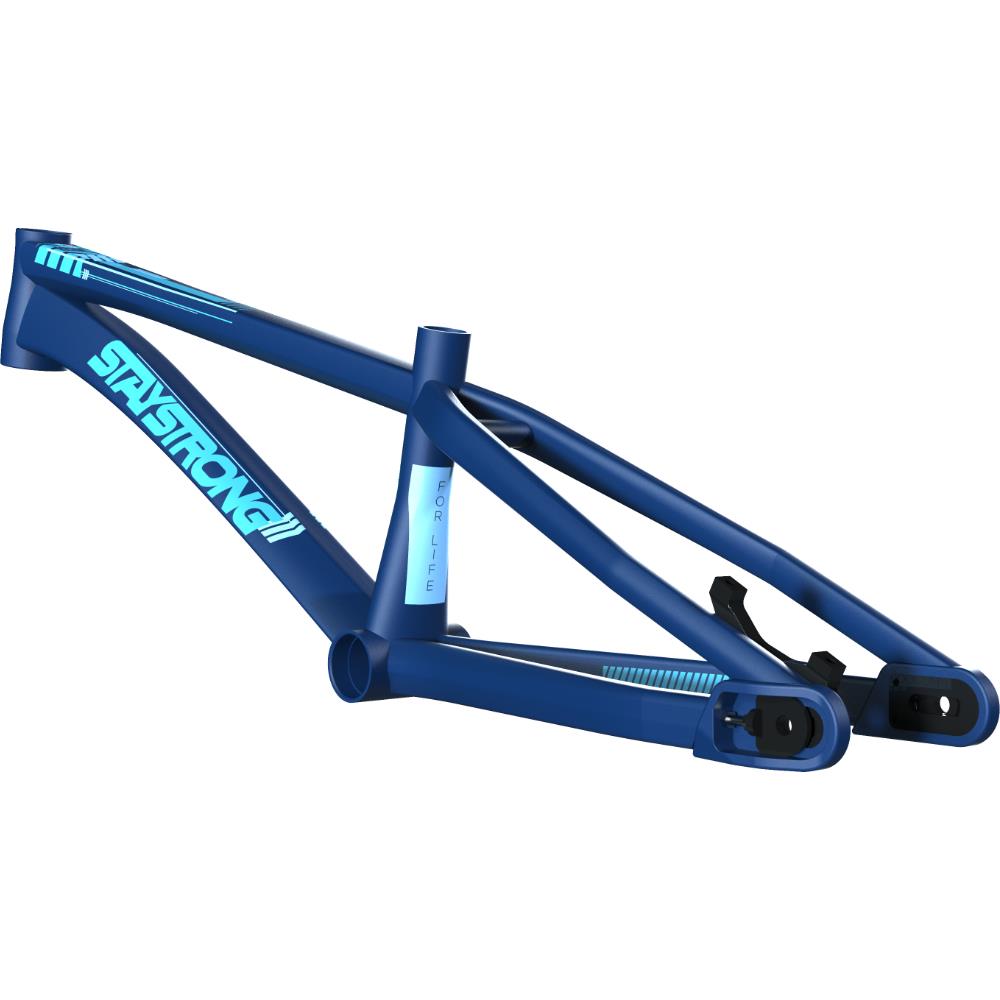 Stay Strong For Life V4 Cruiser Race Frame - Disc Version