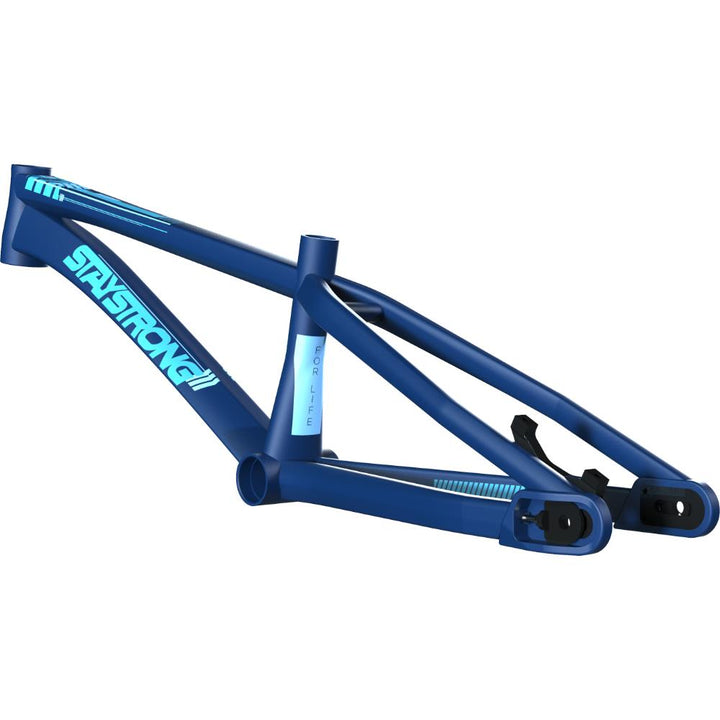 Stay Strong For Life V4 Cruiser Race Frame - Disc Version