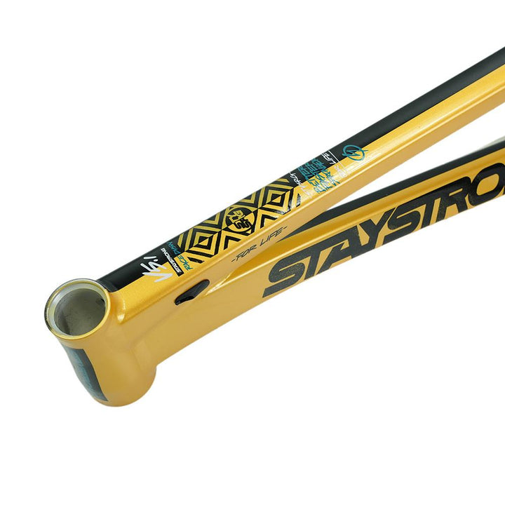 Stay Strong For Life V5.1 Junior Frame