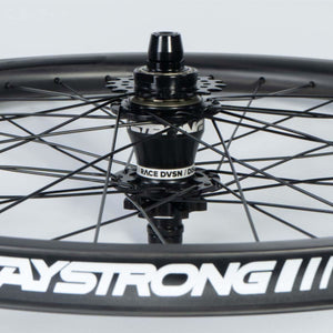 Stay Strong Carbon 24" Disc 1.75" Set di Ruote