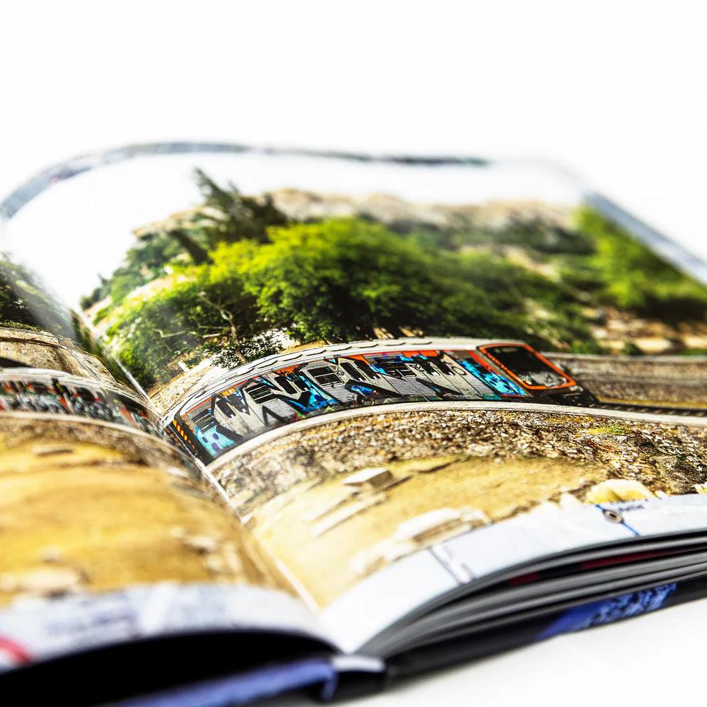 Maintain IV.V - Derailed Book