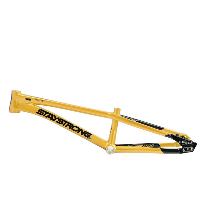 Stay Strong For Life V5.1 Pro Cruiser Frame