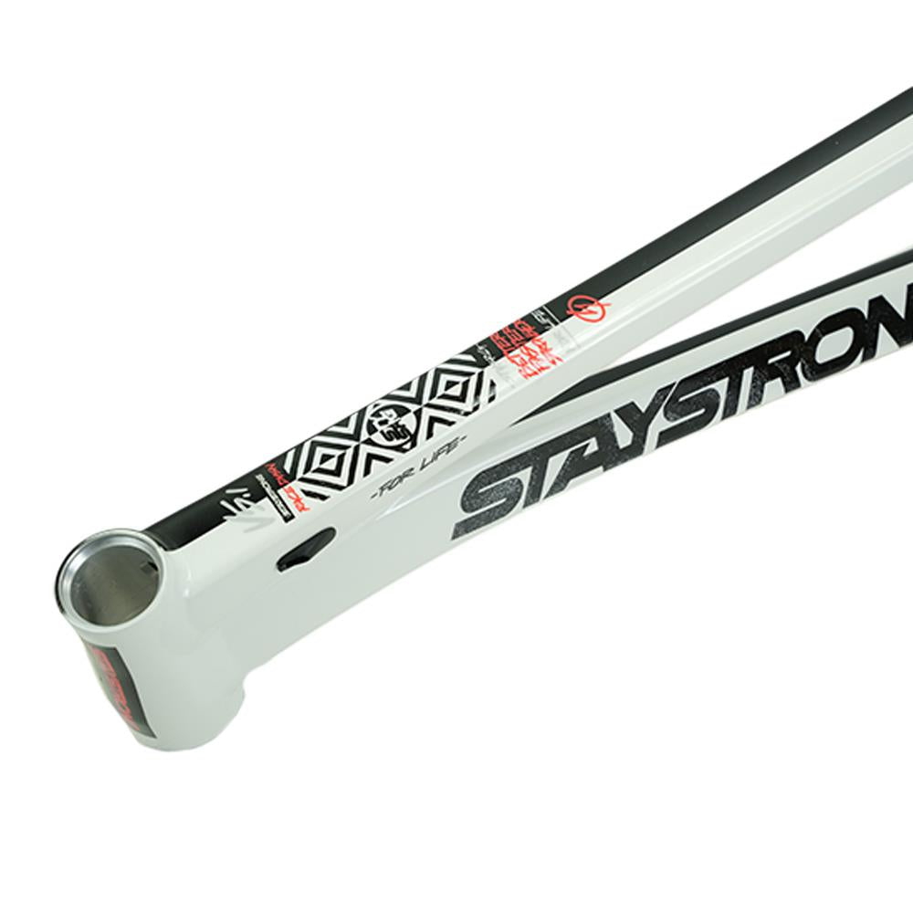 Stay Strong For Life V5.1 Expert XL Frame