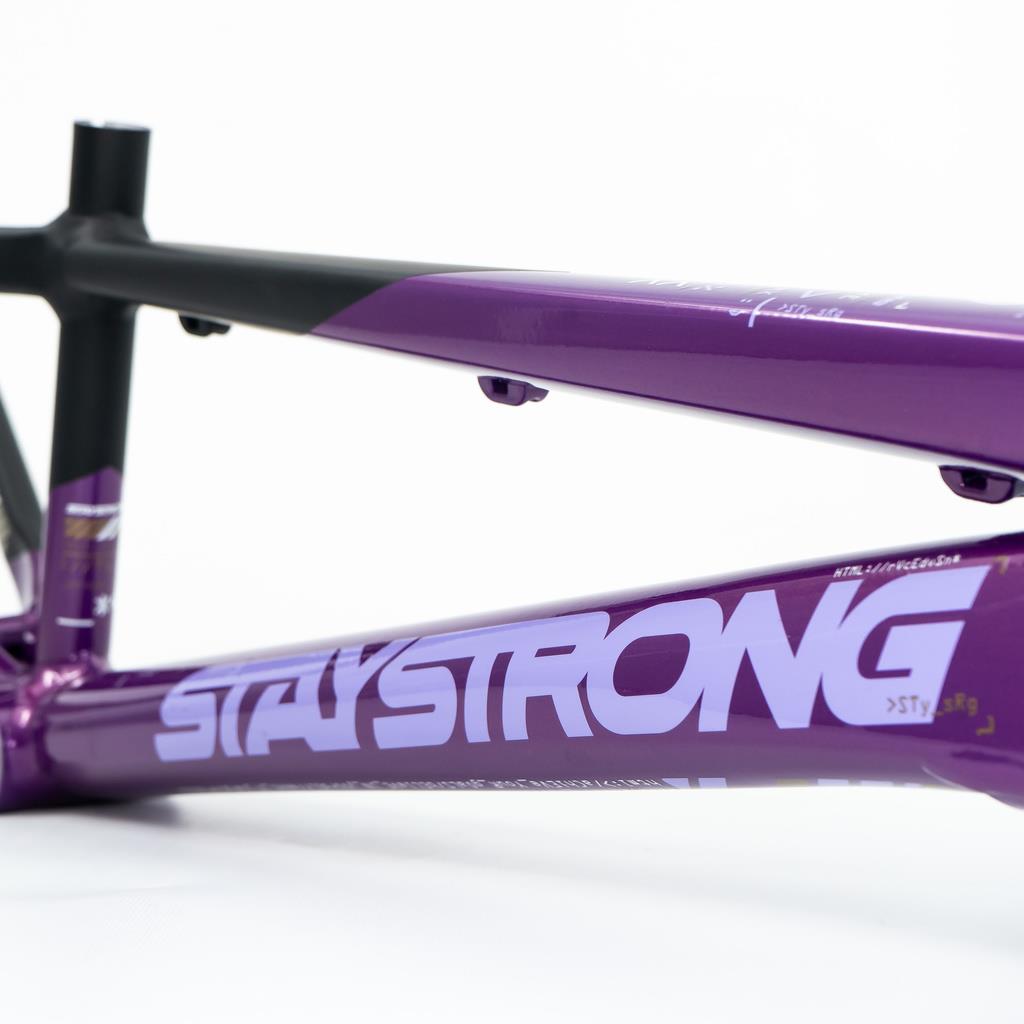 Stay Strong For Life V5 Cruiser Expert XL Frame 2025