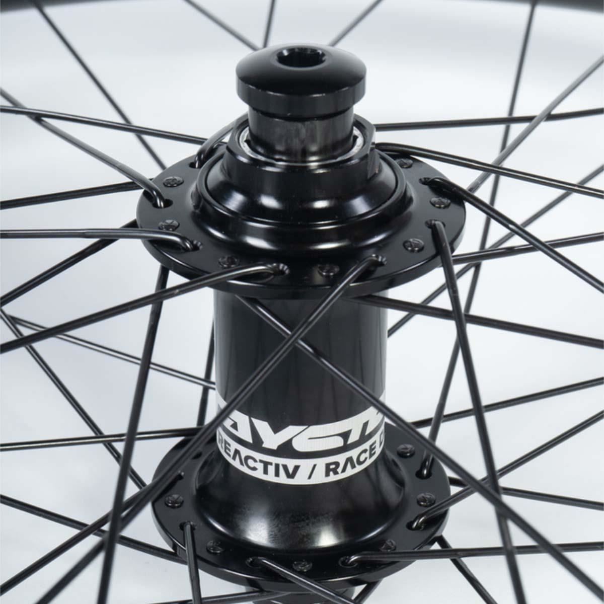 Stay Strong Carbon 24" Disc 1.75" Set di Ruote