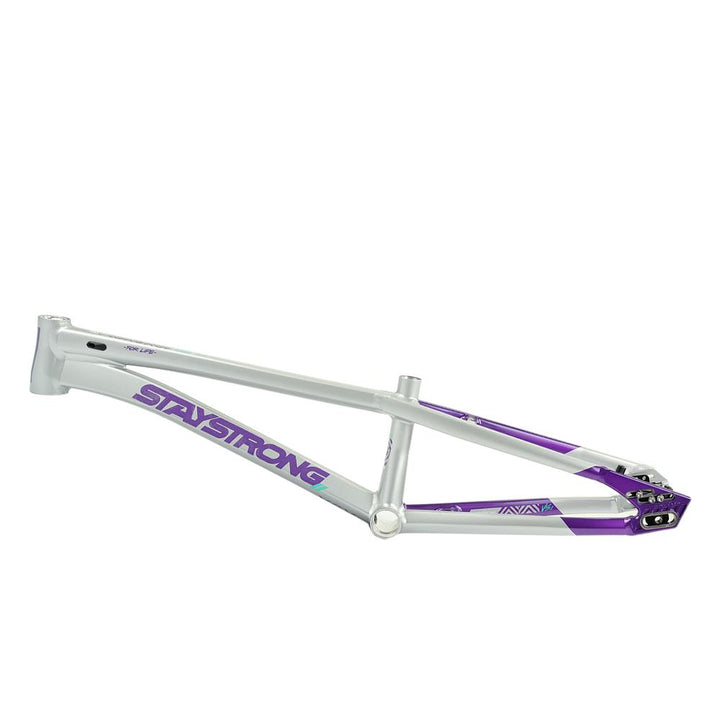 Stay Strong For Life V5.1 Pro Cruiser Frame