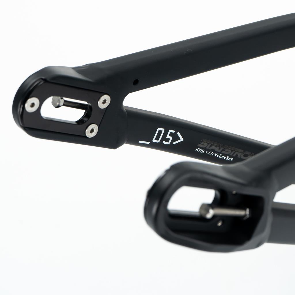 Stay Strong For Life V5 Mini Frame 2025