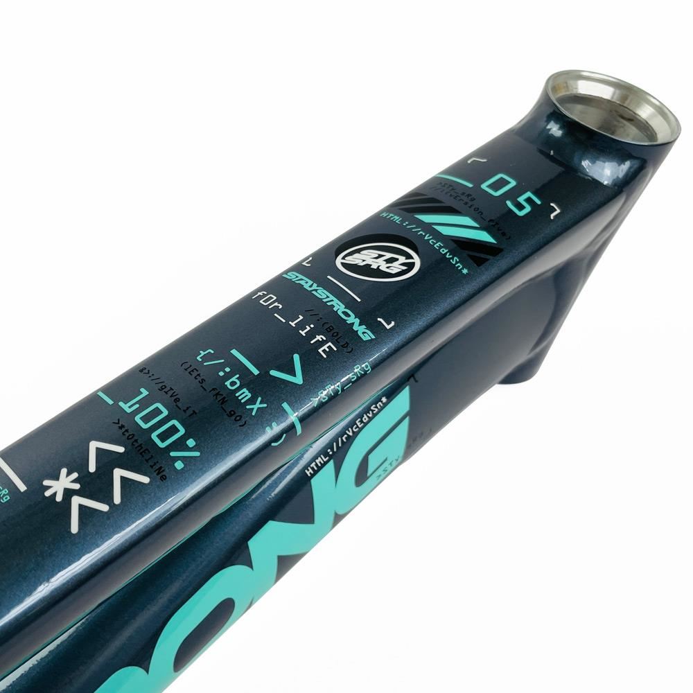 Stay Strong For Life 2024 V5 Cruiser Expert XL Cadre de Course  - Frein Version