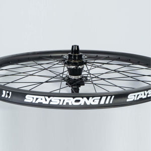 Stay Strong Carbon 24" Disc 1.75" Set di Ruote