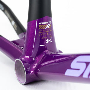 Stay Strong For Life V5 Pro XXXL Frame 2025