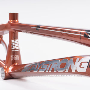 Stay Strong For Life 2023 V4 Pro XL Cuadros de Bicicletas Race BMX - Disco Versión