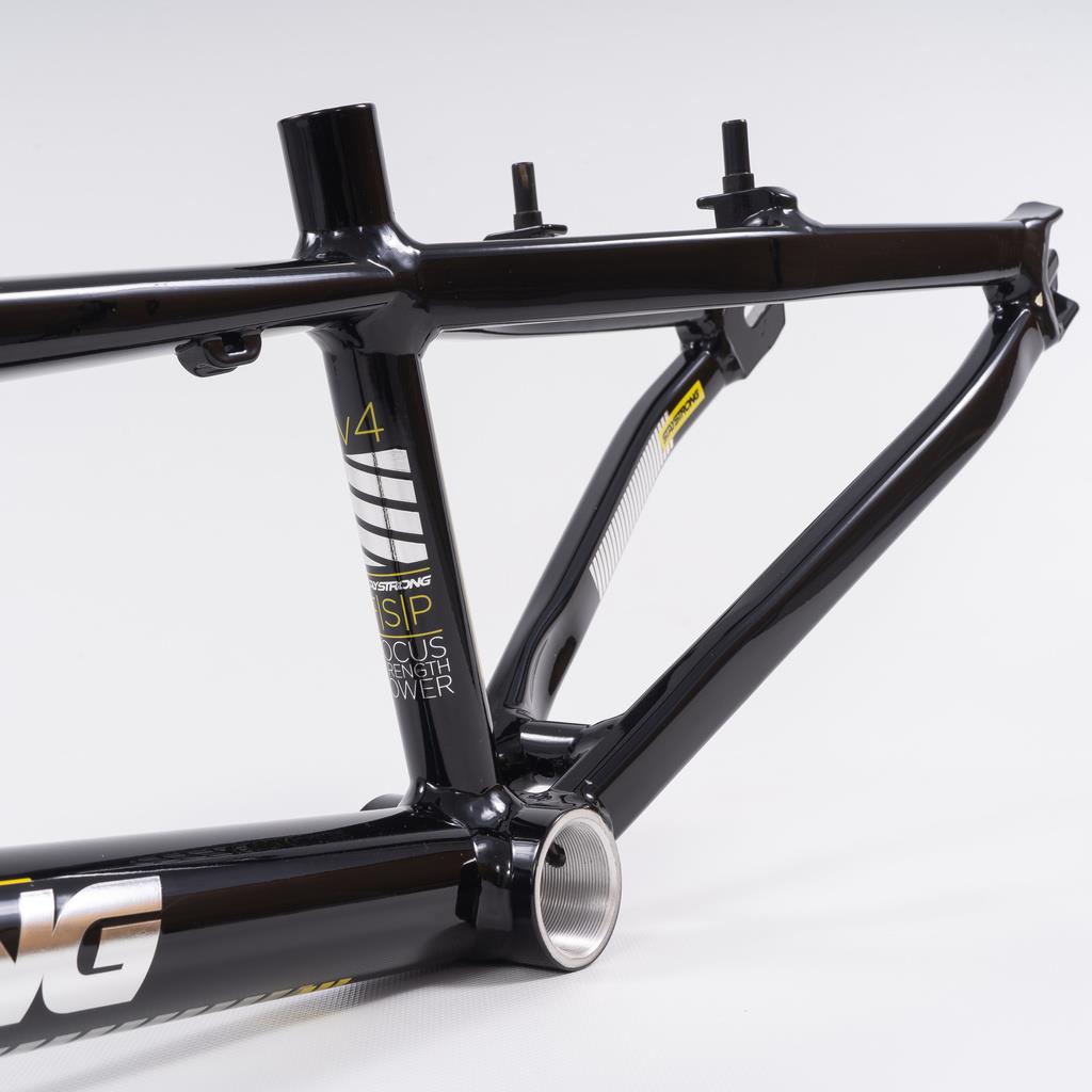 Stay Strong For Life 2023 V4 Expert XL Race Frame