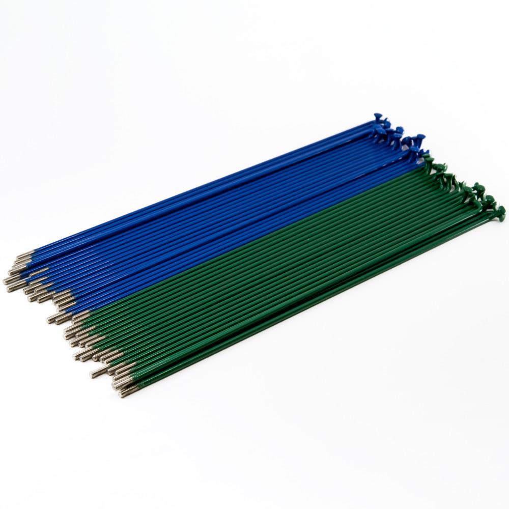 Rayons Source en acier inoxydable (paquet de 40) - Bleu/vert