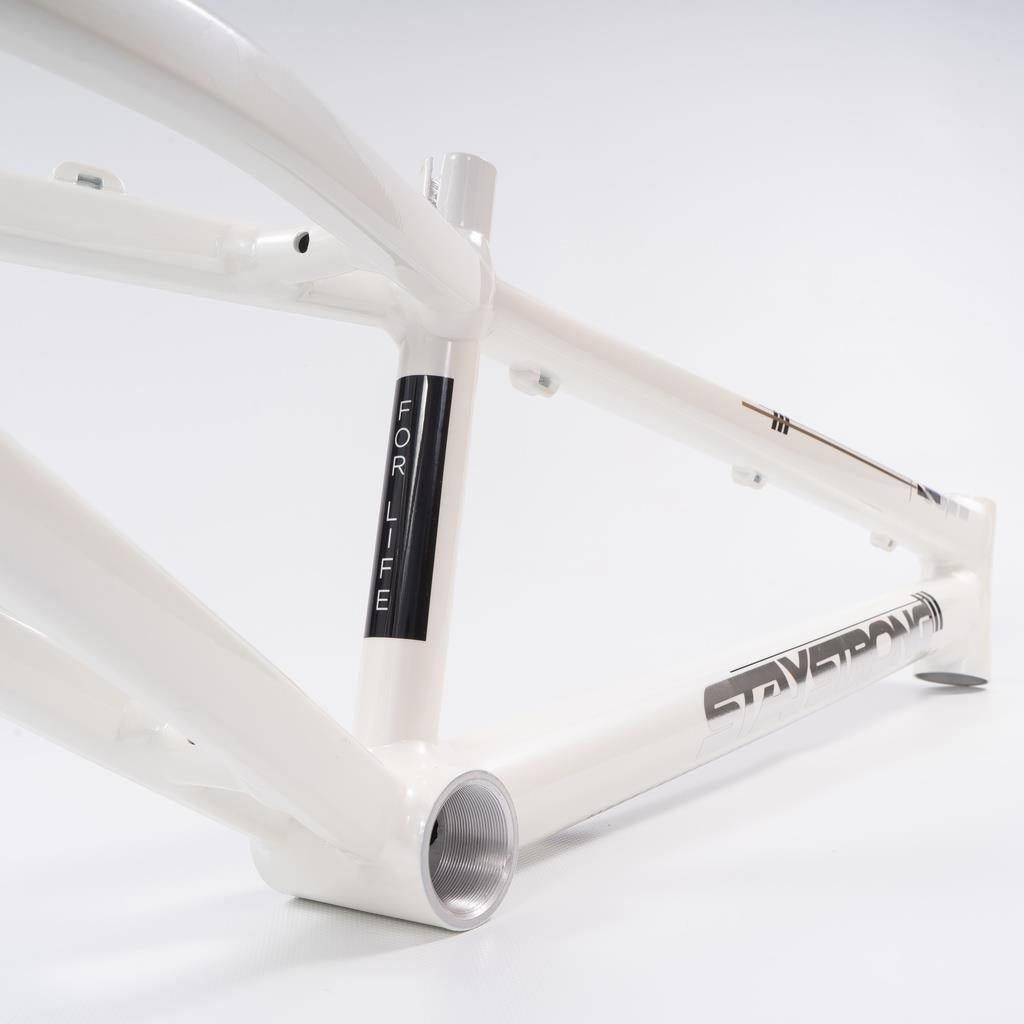 Stay Strong For Life 2023 V4 Expert XL Race Frame - Disc Version