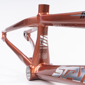 Stay Strong For Life 2023 V4 Pro XL Cuadros de Bicicletas Race BMX - Disco Versión