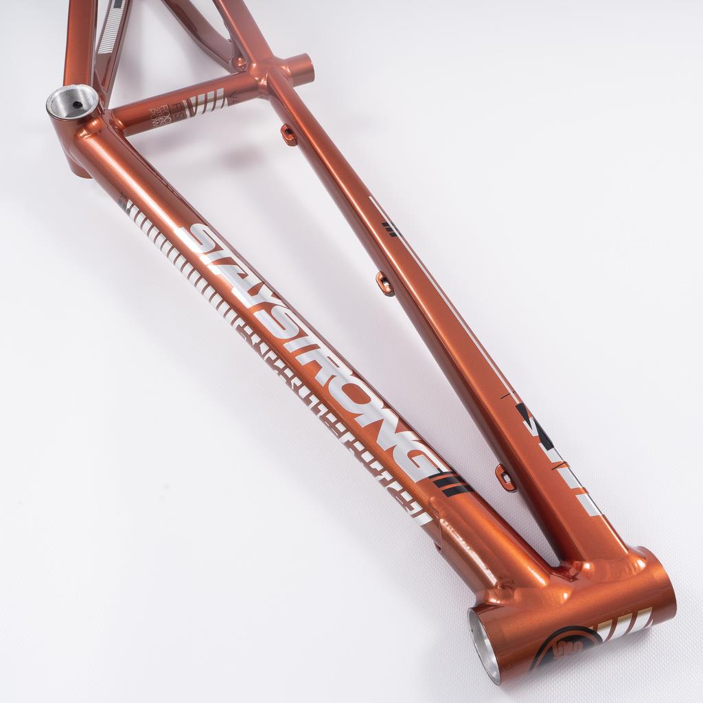 Stay Strong For Life 2023 V4 Mini Race Frame - Disc Version