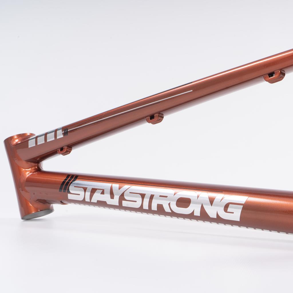 Stay Strong For Life 2023 V4 Expert Cuadros de Bicicletas Race BMX