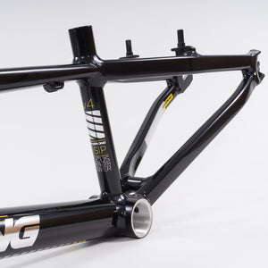 Stay Strong For Life 2023 V4 Junior Race Frame