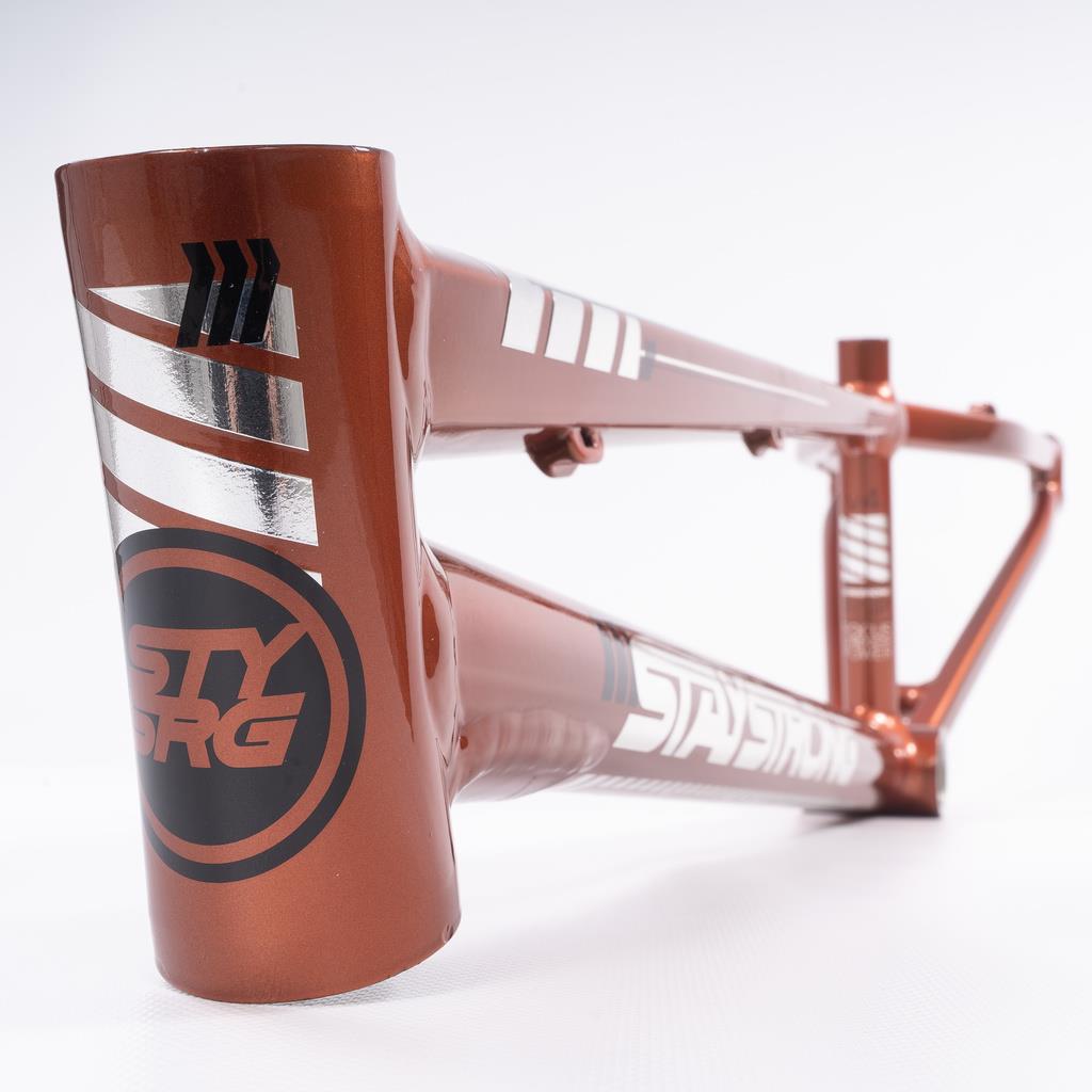 Stay Strong For Life 2023 V4 Expert XL Race Frame - Disc Version