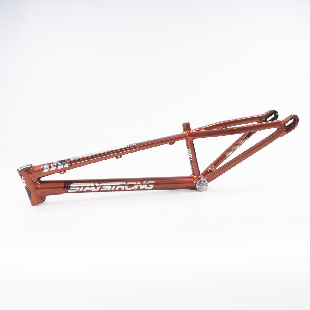 Stay Strong For Life 2023 V4 Mini Race Frame - Disc Version