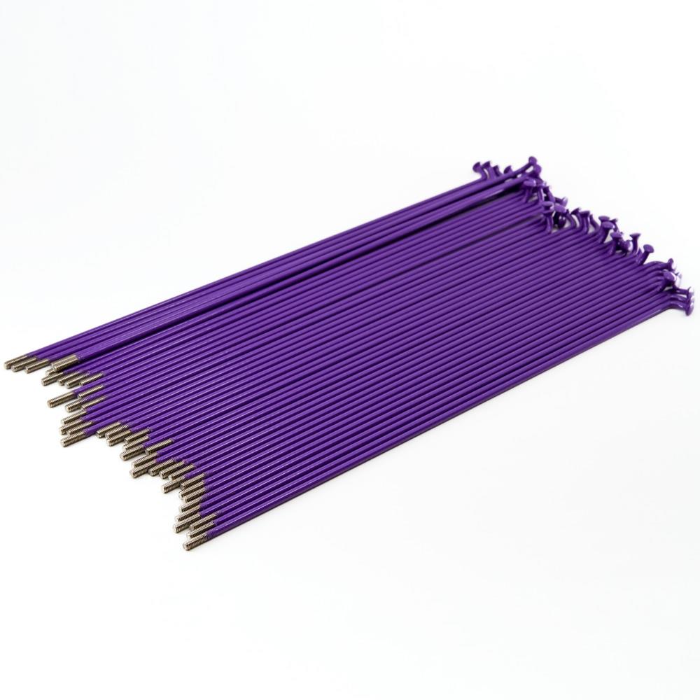 Rayons Source en acier inoxydable (paquet de 40) - violet