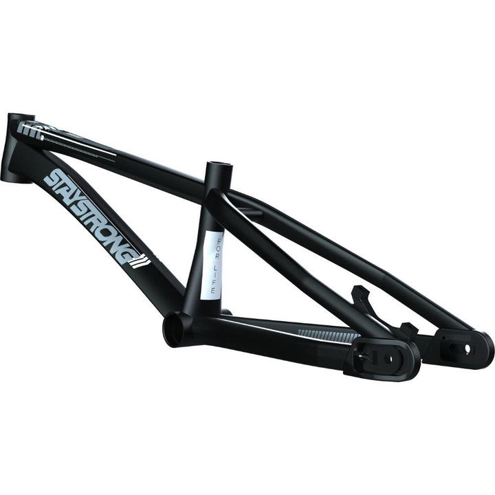 Stay Strong For Life V4 Mini Cadre for Course 