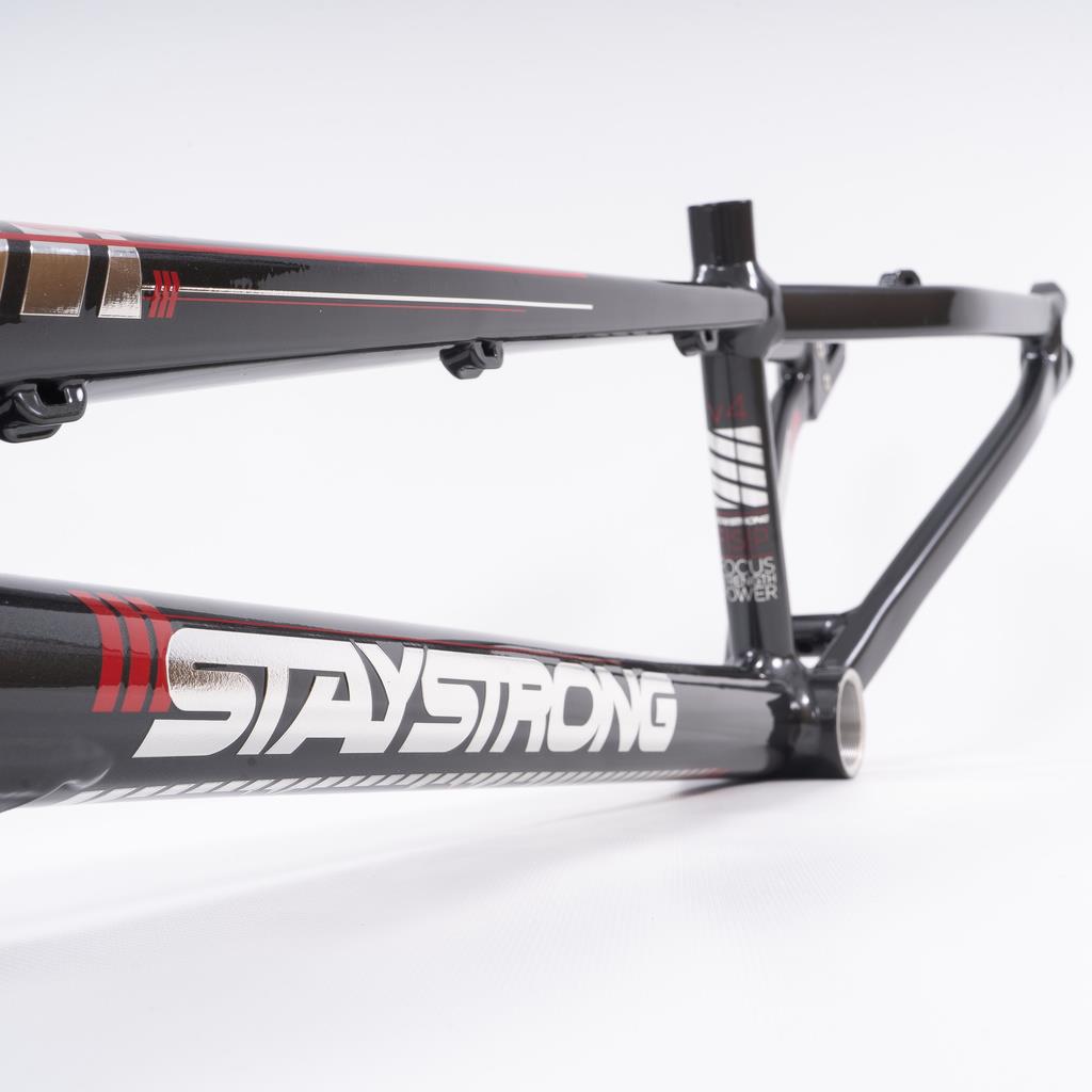 Stay Strong For Life 2023 V4 Expert XL Race Frame - Disc Version