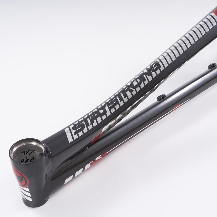 Stay Strong For Life 2023 V4 Cruiser Cadre de Course 