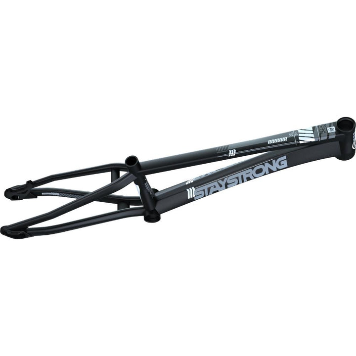Stay Strong For Life V4 Mini Cadre for Course 