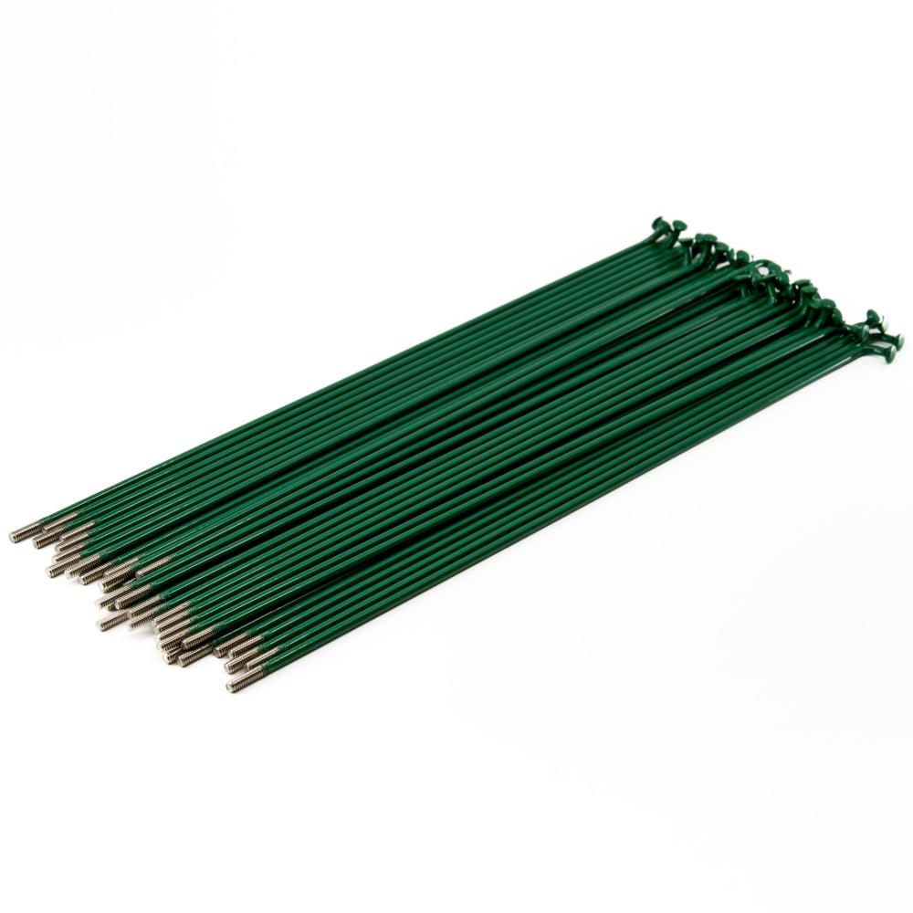 Rayons Source en acier inoxydable (paquet de 40) - Vert