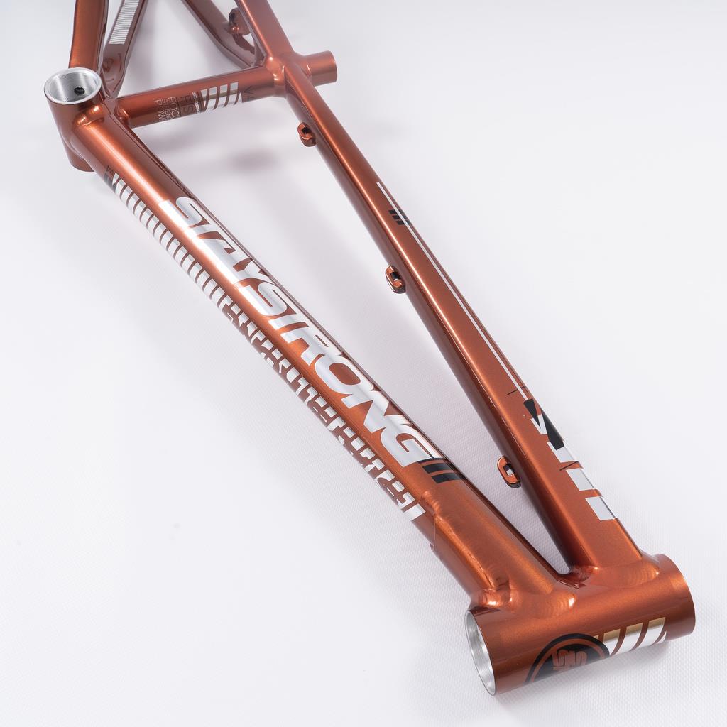 Stay Strong For Life 2023 V4 Expert XL Race Frame